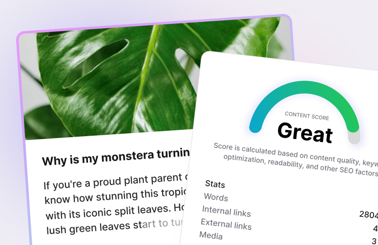 Article generation interface